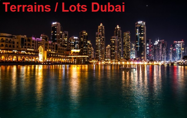 Immobilier Dubai -