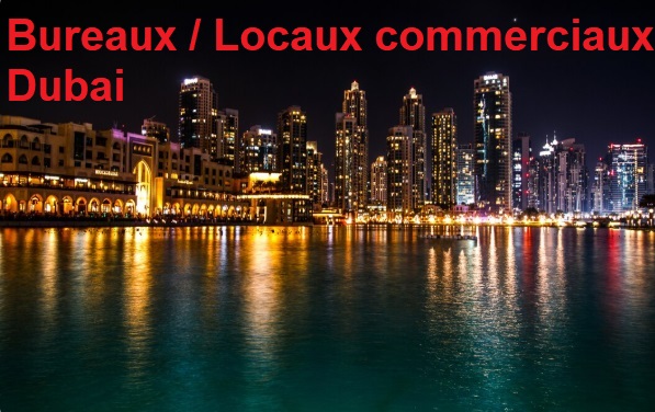 Immobilier Dubai -